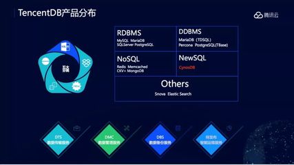 Gartner权威报告揭示 腾讯云数据库国内增速领跑，供应链管理战略成效显著